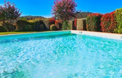 Constantina, Andalusia 41450