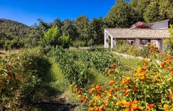 Gaucín, Andalusia 29480