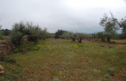 El Perelló, Catalonia 43519