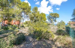 Calvià, Balearic Islands 07181