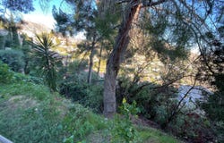 Calpe (Calp), Valencian Community 03710
