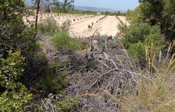 Vilamarxant, Valencian Community