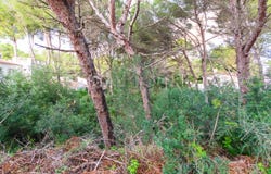 Son Parc, Balearic Islands
