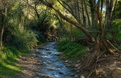 Ojén, Andalusia