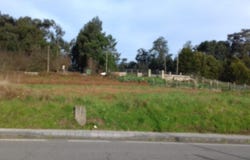 Vigo, Galicia 36314