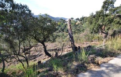 Calonge, Girona, Catalonia