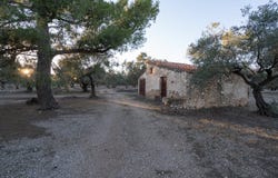 Mas de Barberans, Catalonia 43514
