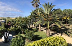 La Zarzuela, Tarifa, Andalusia 11393