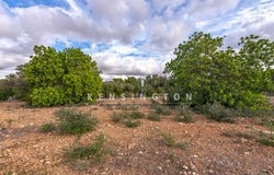 Llucmajor, Illes Balears|Baleares 07609