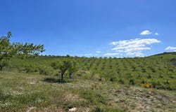 Cortijo de las Rozas, Santa Cruz del Comercio, Andalusia Arenas del