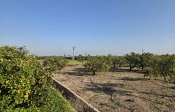 Rafelcofer, Valencian Community 46716
