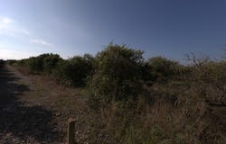 Alcanar, Catalonia 43530