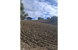 CasaresMalaga, Andalusia 29692