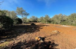 Diseminado Segunda Volta, 100, 07209 Felanitx, Illes Balears, Spain, Felanitx, Balearic Islands 07209