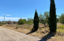 Peñiscola, Valencian Community 12598