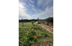 Carmona, Andalusia 41410