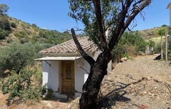 Comares, Andalusia 29195