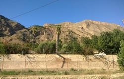 Orihuela, Valencian Community 03311