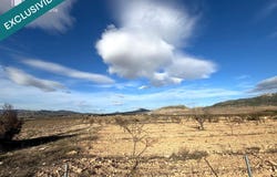 Monovar, Valencian Community 03640