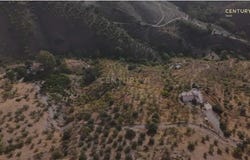 Borge (El), Andalusia