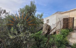 Sayalonga, Andalusia 29752