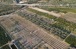 Vinaros, Valencian Community 12500