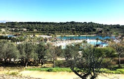 Sotogrande, Andalusia 11310