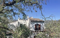 Comares, Andalusia 29195