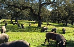 Badajoz, Extremadura