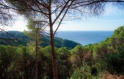 Lloret de Mar, Catalonia 17310