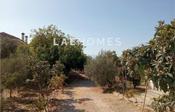 Málaga, Andalusia 29590