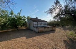 Ulldecona, Tarragona