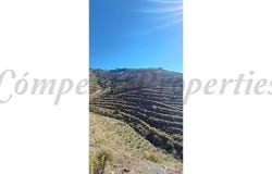 Torrox, Andalusia 29770