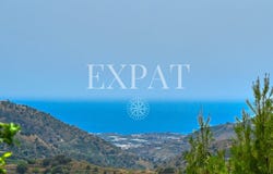 Sayalonga, Andalusia 29752