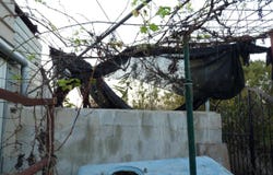 Pego, Valencian Community 03780