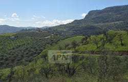 Alora, Andalusia 29500