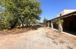 Elche pedanias, Valencian Community 03295