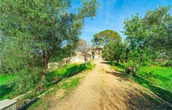 Palma, Balearic Islands 07010