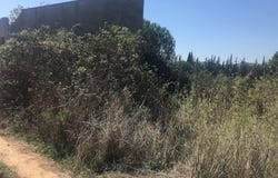 Tordera, Catalonia