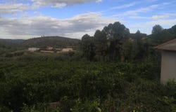 Sellent, Valencian Community 46295