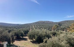 Rute, Andalusia 14960