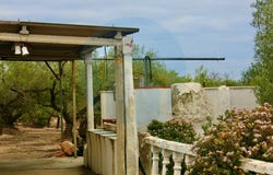 L'Ampolla, Catalonia 43895