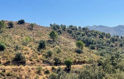 Monda, Andalusia 29110