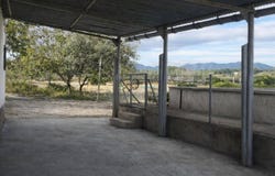 Bufali, Valencian Community 46891