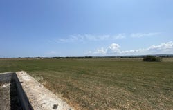 P2P7+63, Llubí, Balearic Islands 07420
