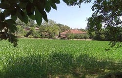 Chantada, Lugo 27527