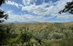 Mijas, Andalusia 29649