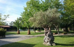 Badajoz, Extremadura