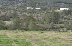 Benigànim, Valencian Community 46830