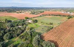 Felanitx, Balearic Islands 07200